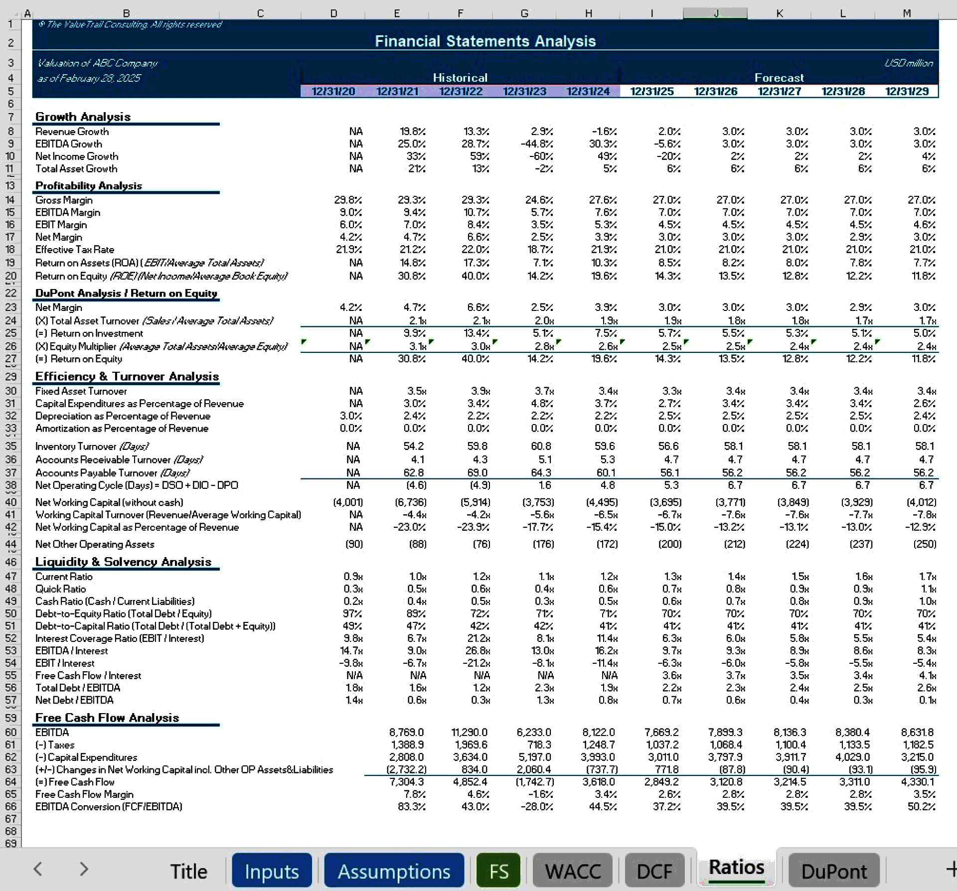 DCF Business Valuation Model with FS & Sensitivity Analysis (Excel template (XLSX)) Preview Image