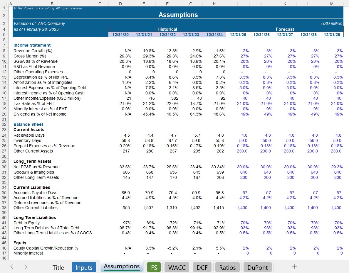 DCF Business Valuation Model with FS & Sensitivity Analysis (Excel template (XLSX)) Preview Image