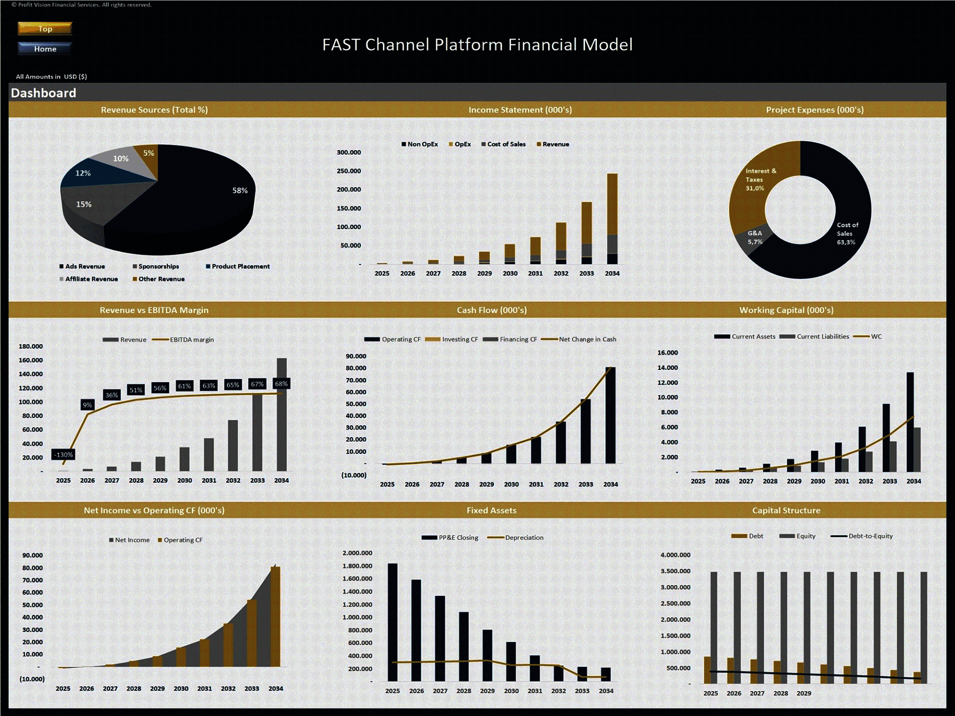 Free Ad-Supported TV (FAST) Platform – 10 Year Financial Model (Excel template (XLSX)) Preview Image