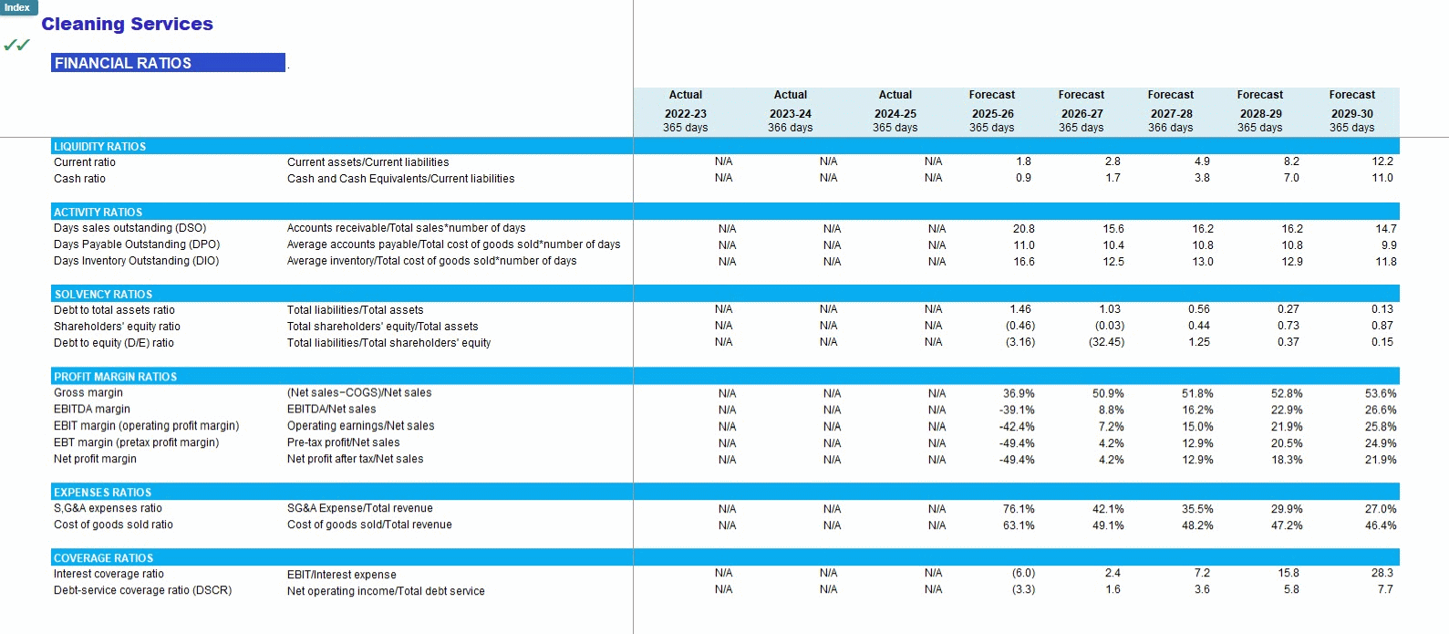Cleaning Services (Janitorial Services) Financial Model (Excel template (XLSX)) Preview Image