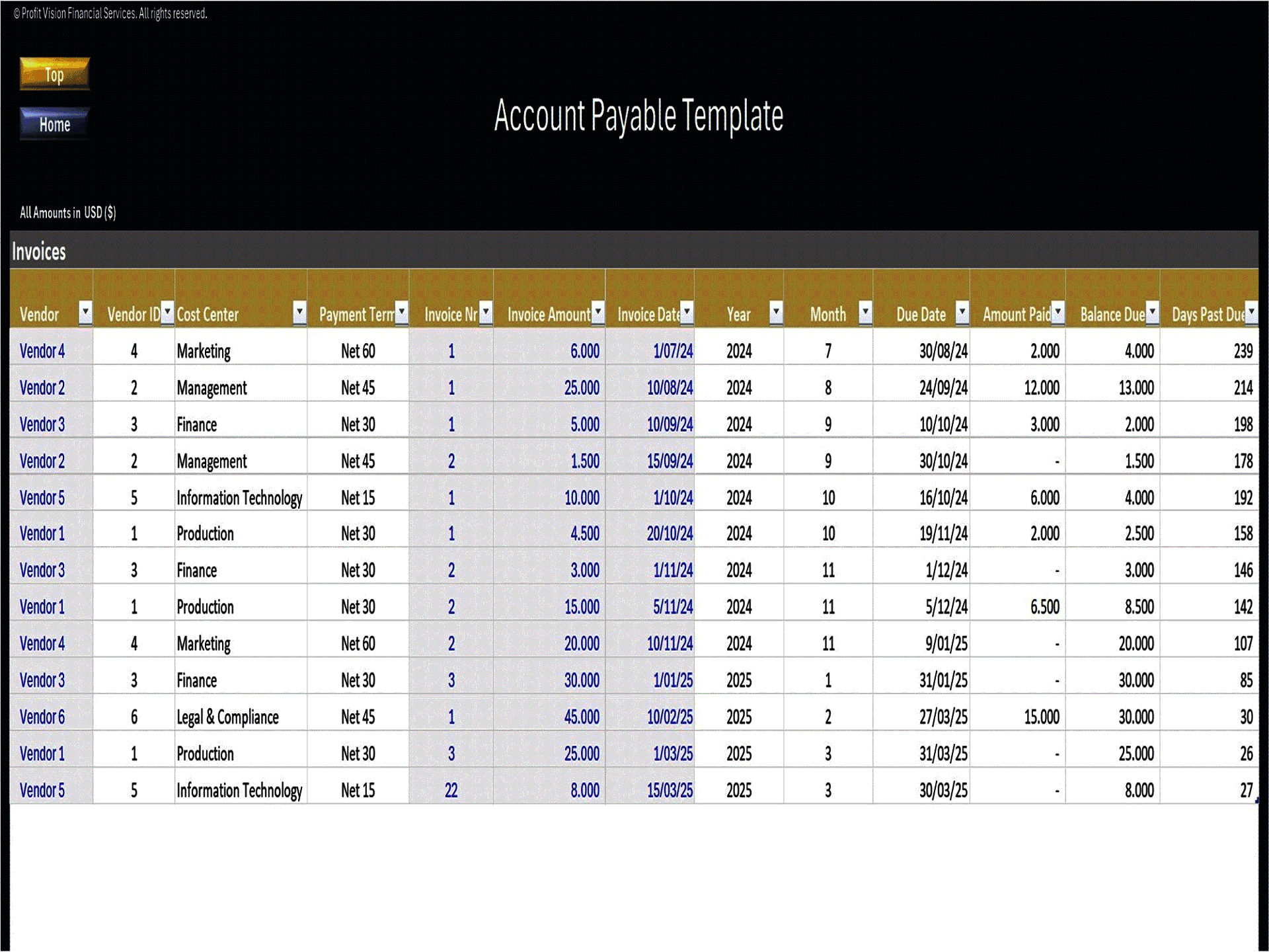 Accounts Payable Template (Excel template (XLSX)) Preview Image
