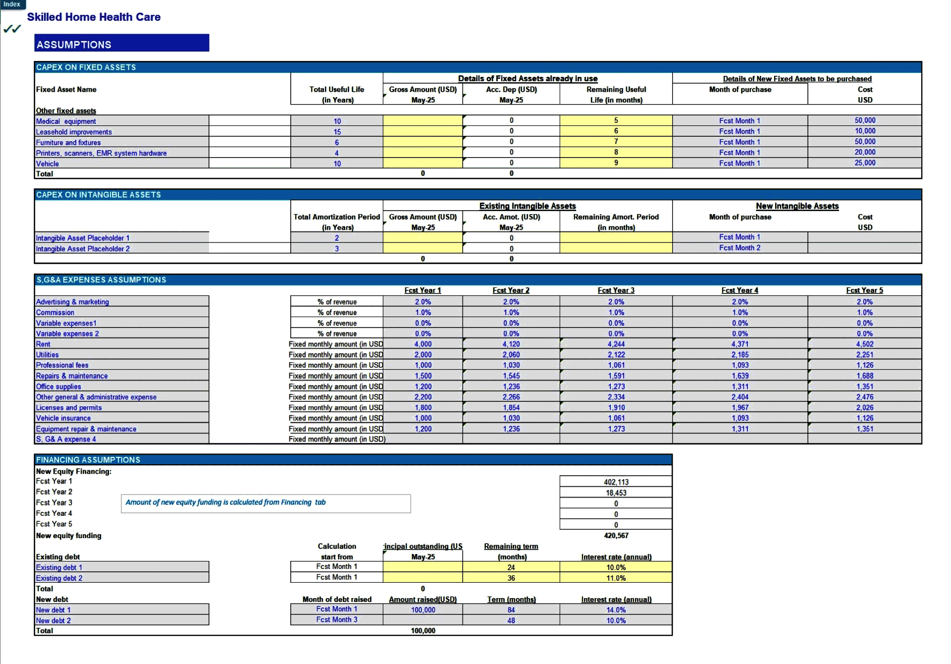 Skilled Home Health Care Business Financial Forecast Model (Excel template (XLSX)) Preview Image