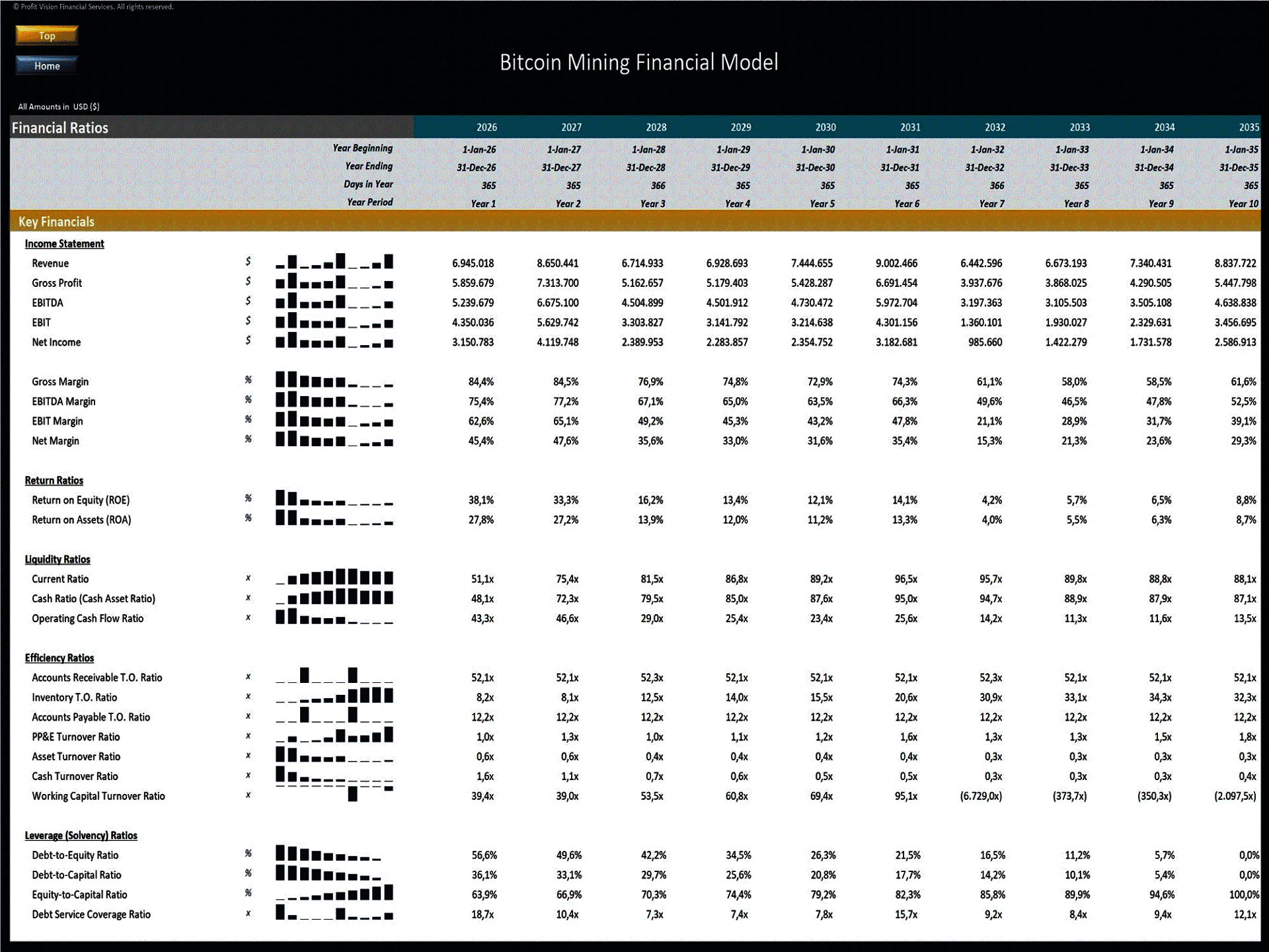 Bitcoin Mining Farm – 10 Year Financial Model (Excel template (XLSX)) Preview Image