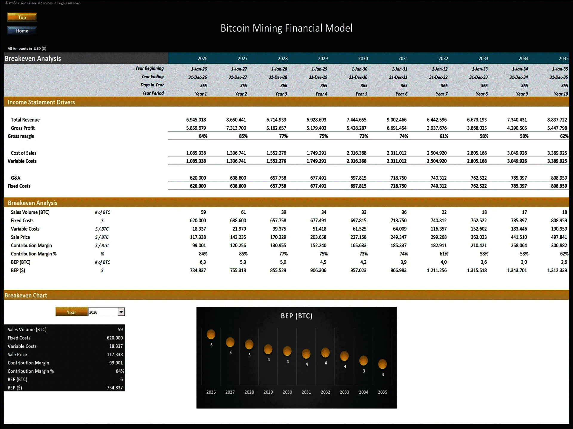Bitcoin Mining Farm – 10 Year Financial Model (Excel template (XLSX)) Preview Image