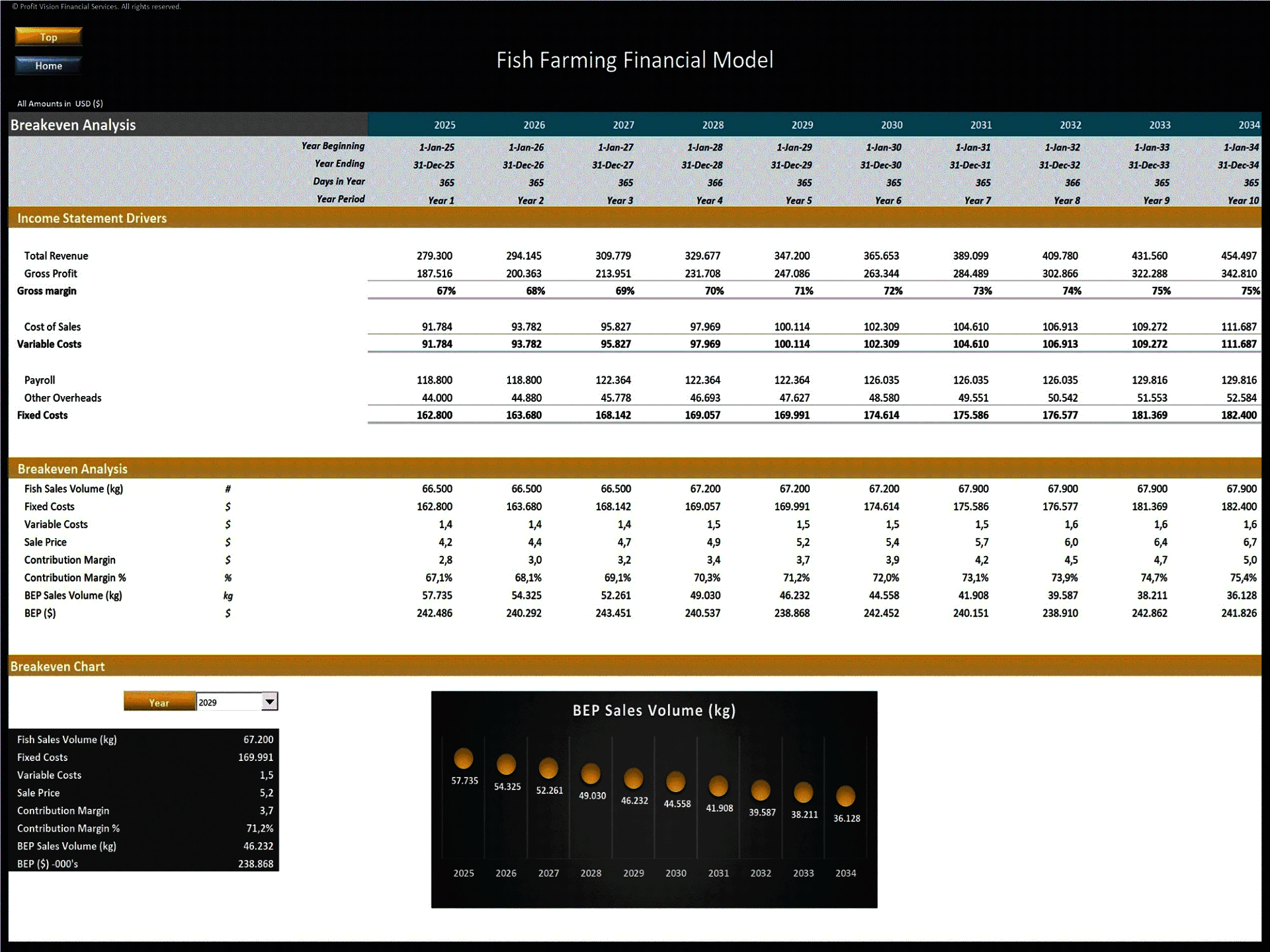 Fish Farm – 10 Year Financial Model (Excel template (XLSX)) Preview Image