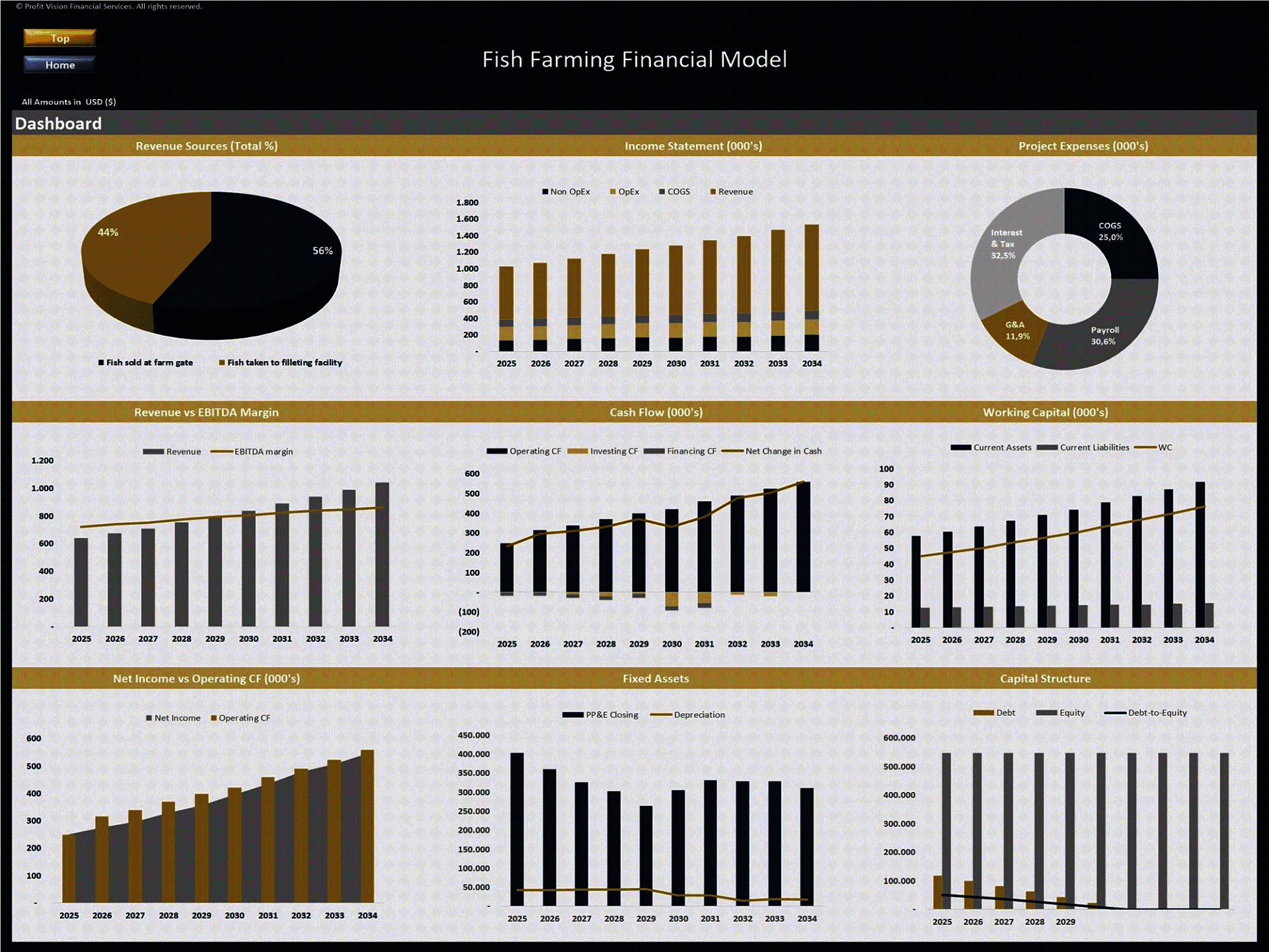 Fish Farm – 10 Year Financial Model (Excel template (XLSX)) Preview Image