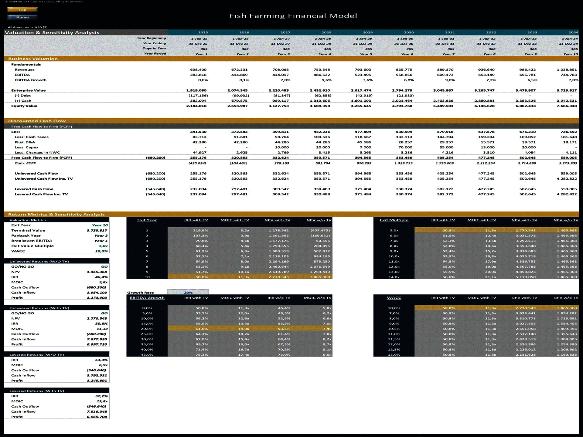 Fish Farm – 10 Year Financial Model (Excel template (XLSX)) Preview Image