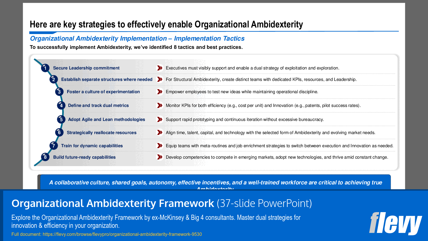 Strategies for Effective Organizational Ambidexterity Implementation