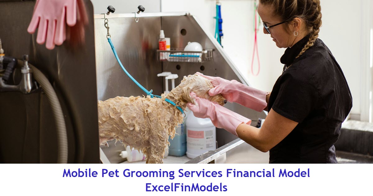 Mobile Pet Grooming Services Financial Forecast Model (Excel template (XLSX)) Preview Image