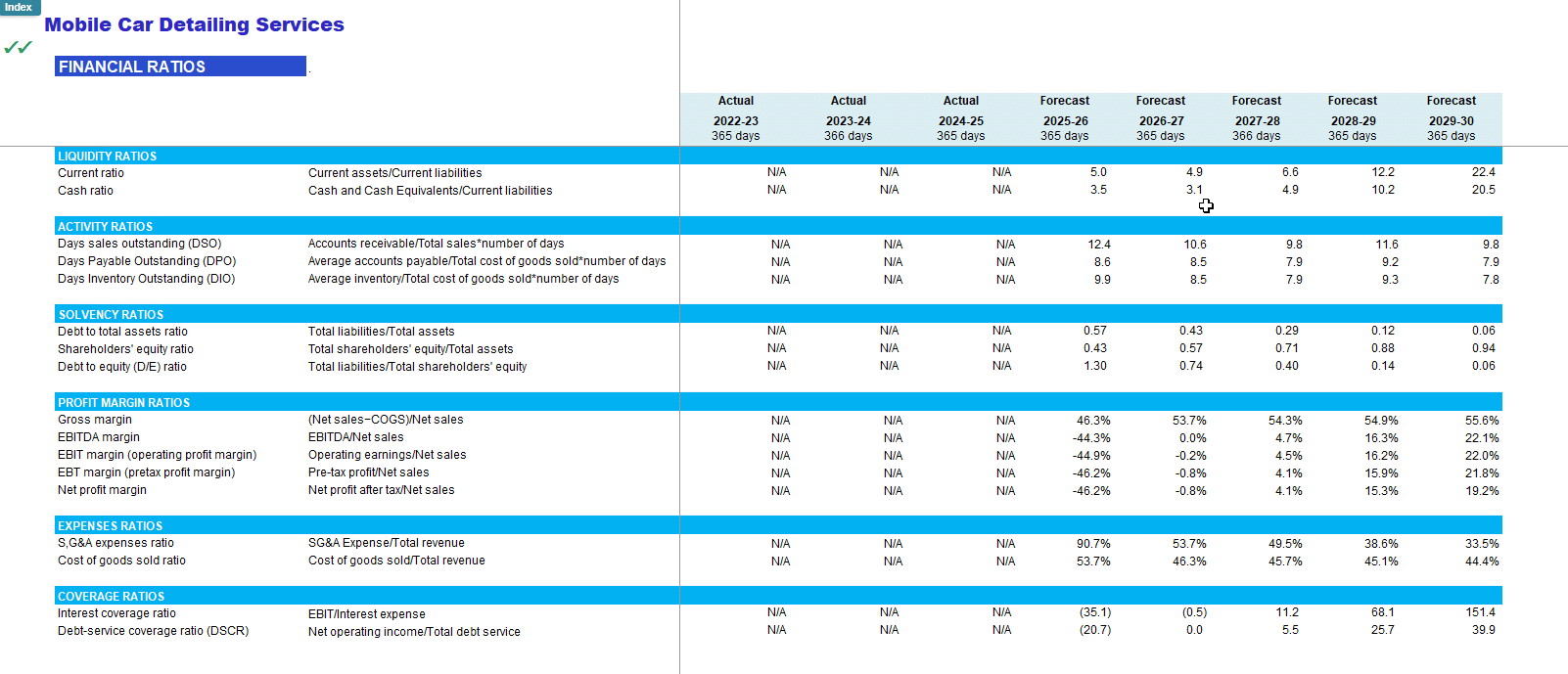 Mobile Car Detailing Financial Forecast Model (Excel template (XLSX)) Preview Image
