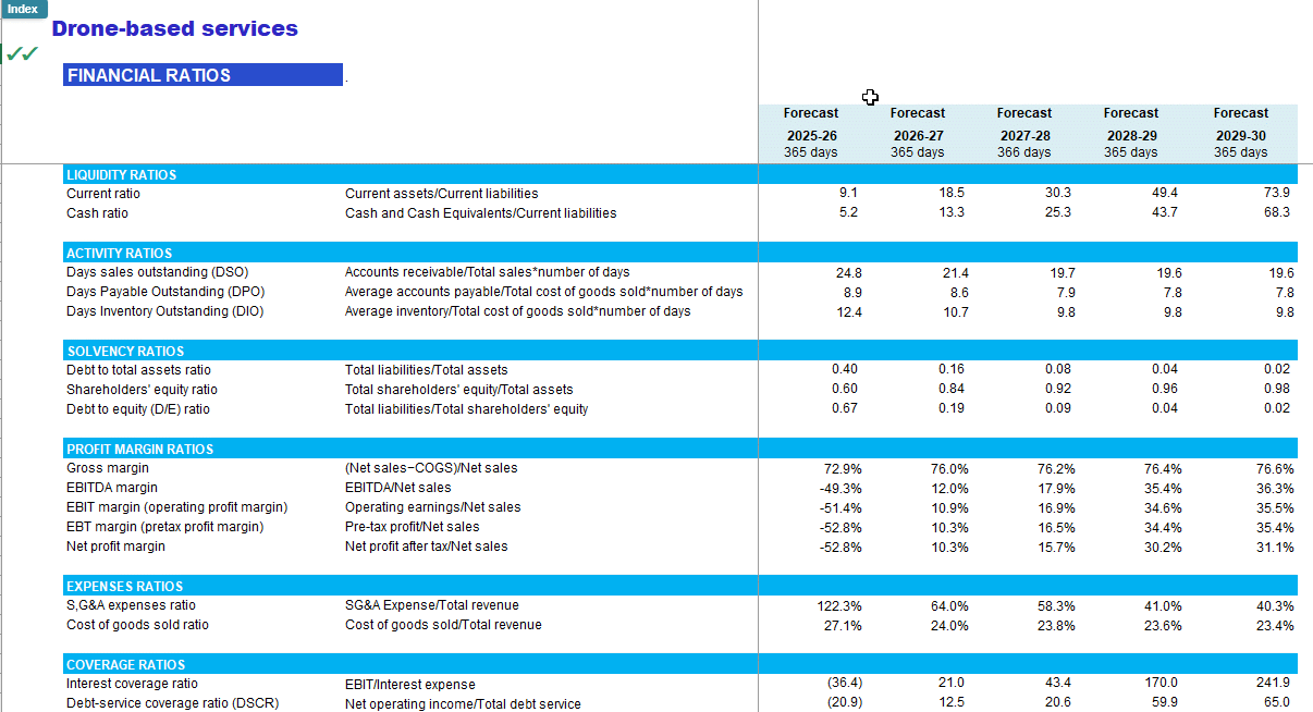 Drone (Unmanned Aerial Vehicle) Services Financial Model (Excel template (XLSX)) Preview Image