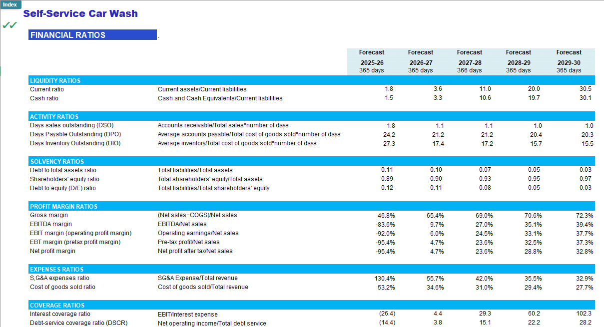 Self-Service Cash Wash  Financial Forecast Model (Excel template (XLSX)) Preview Image