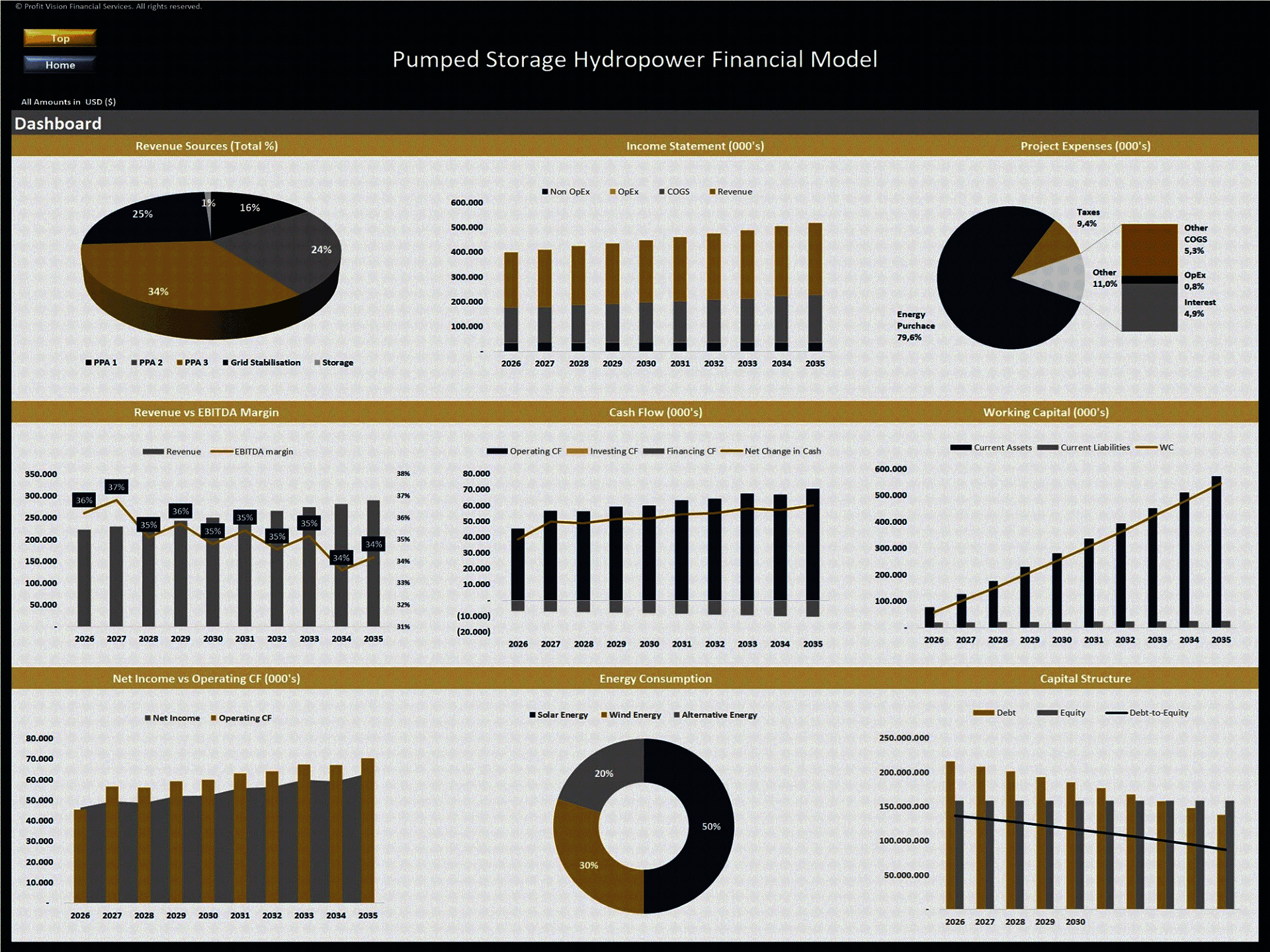 Pumped Storage Hydropower Plant – 10 Year Financial Model (Excel template (XLSX)) Preview Image