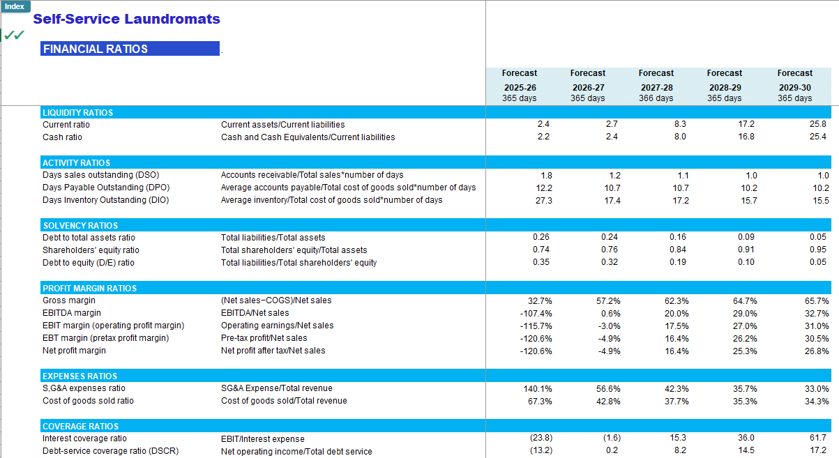 Self-Service Laundromats (Laundry) Financial Forecast Model (Excel template (XLSX)) Preview Image