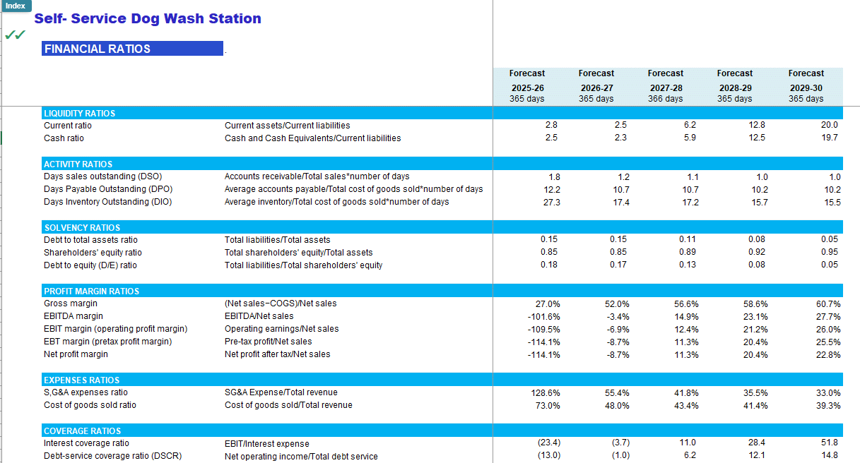Self-Service Dog Wash Station Financial Forecast Model (Excel template (XLSX)) Preview Image
