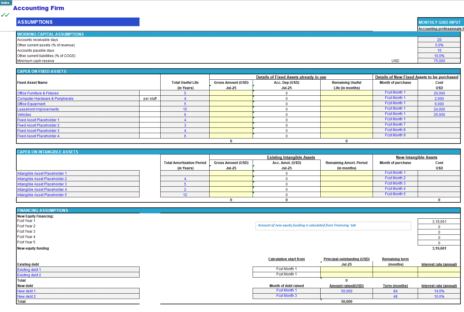 Accounting Firm Financial Forecast Model (Excel template (XLSX)) Preview Image
