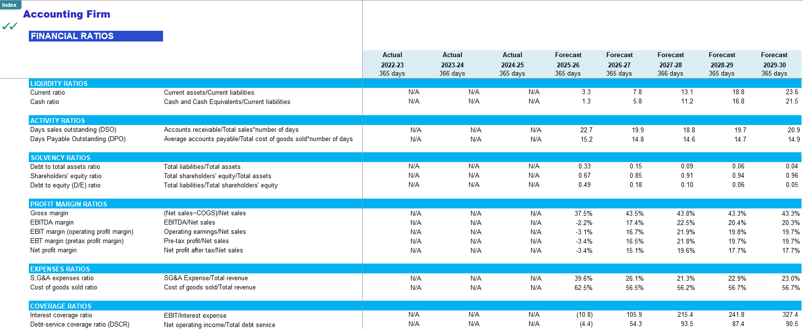 Accounting Firm Financial Forecast Model (Excel template (XLSX)) Preview Image