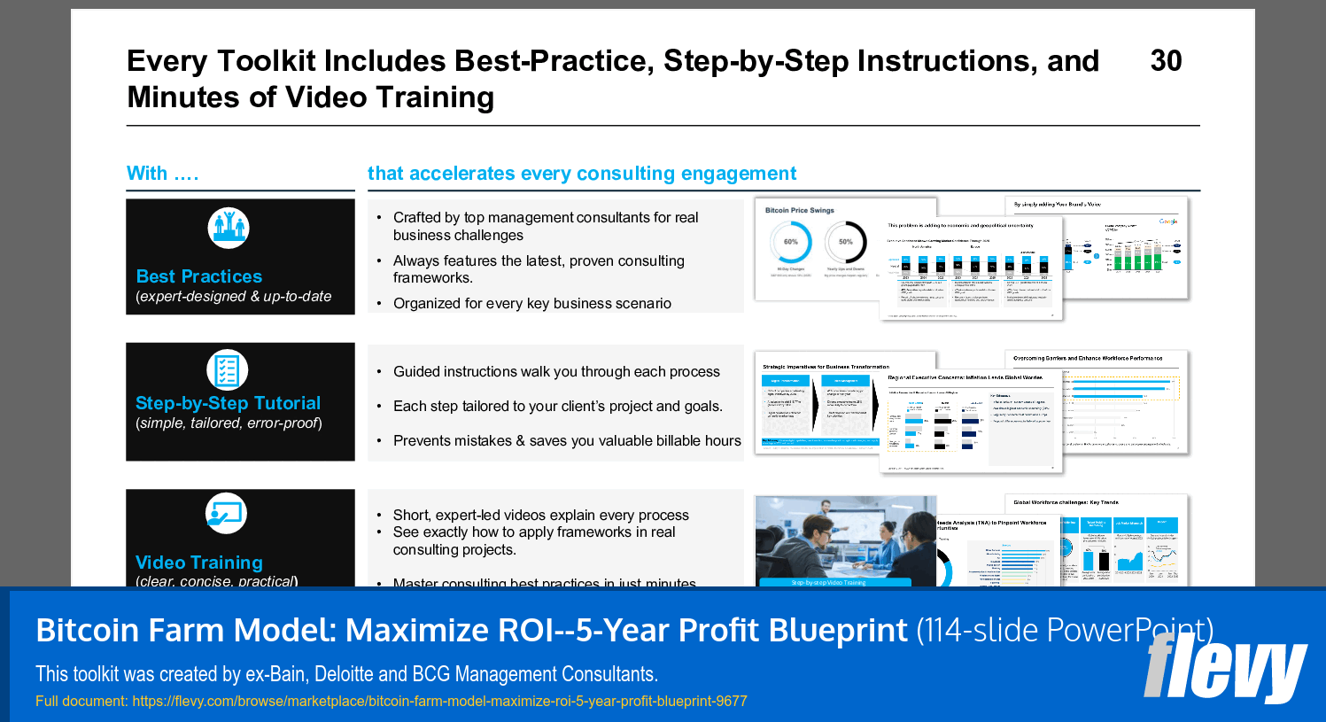 Bitcoin Farm Model: Maximize ROI 5-Year Profit Blueprint (114-slide PPT PowerPoint presentation slide deck (PPTX)) Preview Image