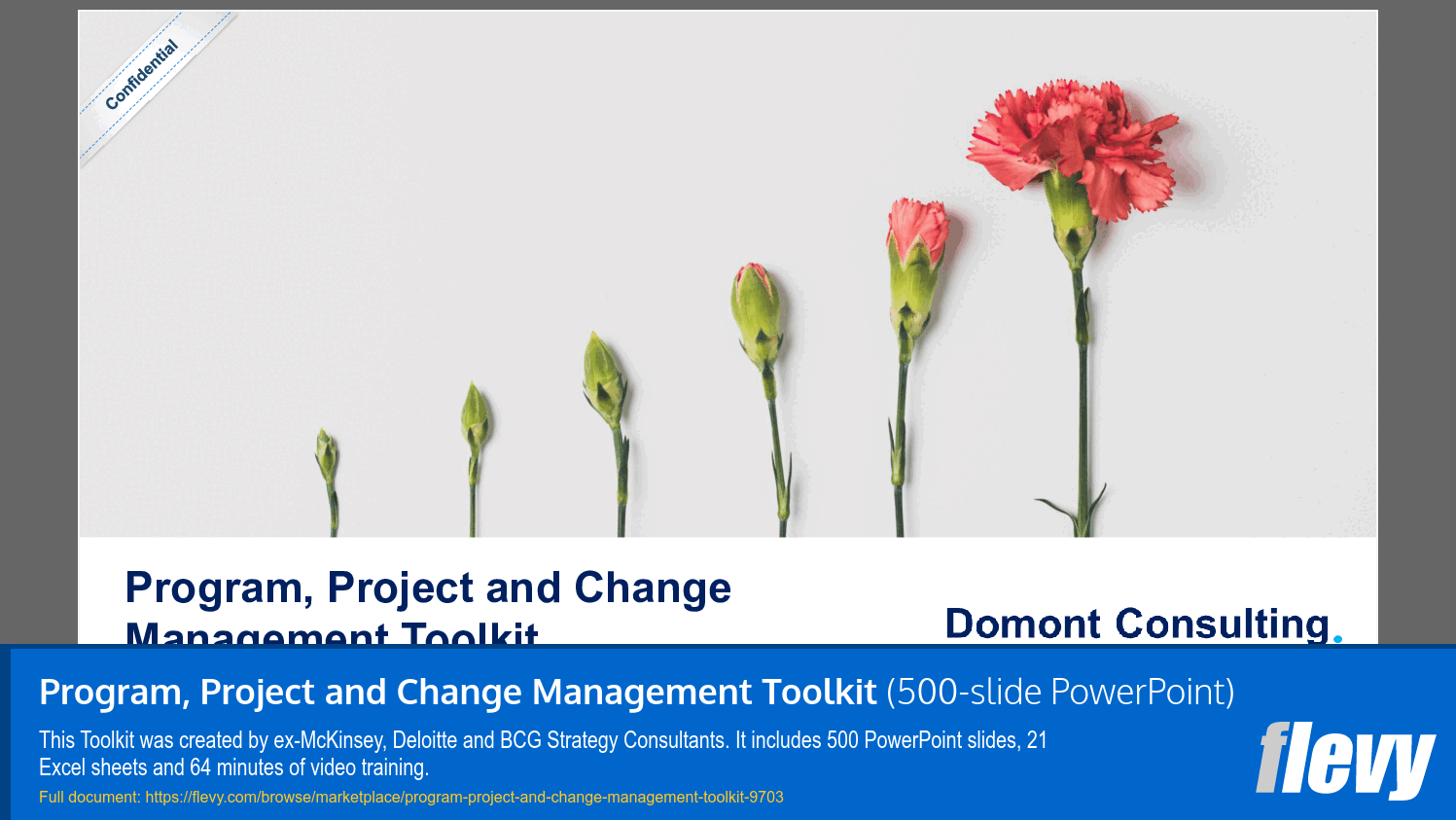 Program, Project and Change Management Toolkit (500-slide PPT PowerPoint presentation slide deck (PPTX)) Preview Image