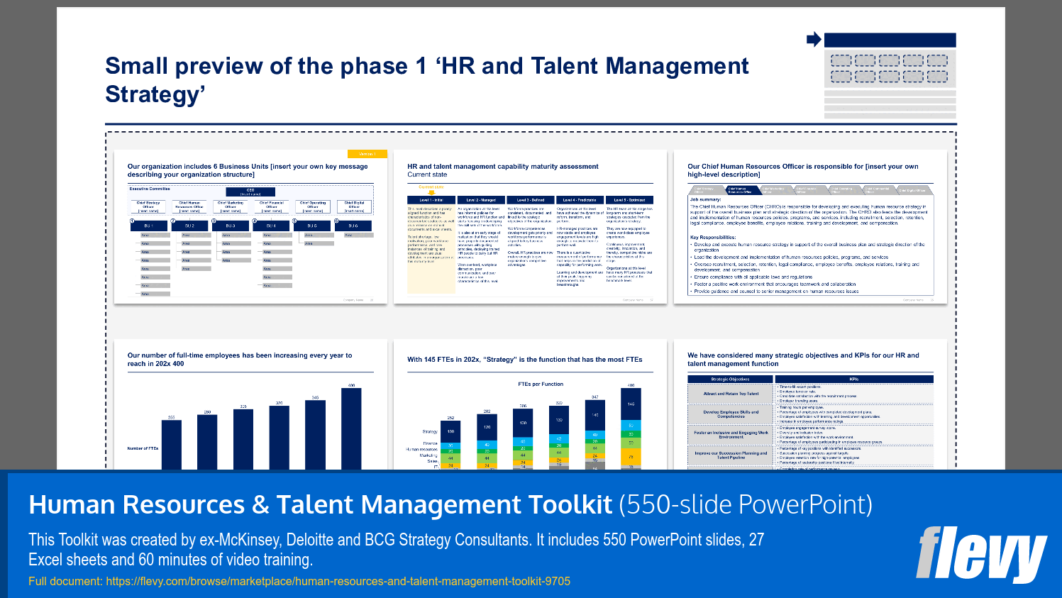 Initial Phase of HR and Talent Management Strategy Overview