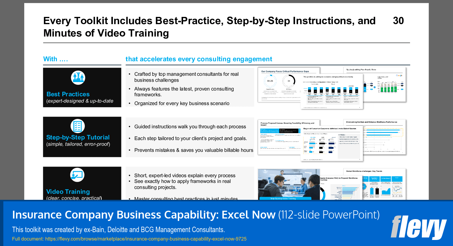 Insurance Company Business Capability: Excel Now (112-slide PPT PowerPoint presentation slide deck (PPTX)) Preview Image