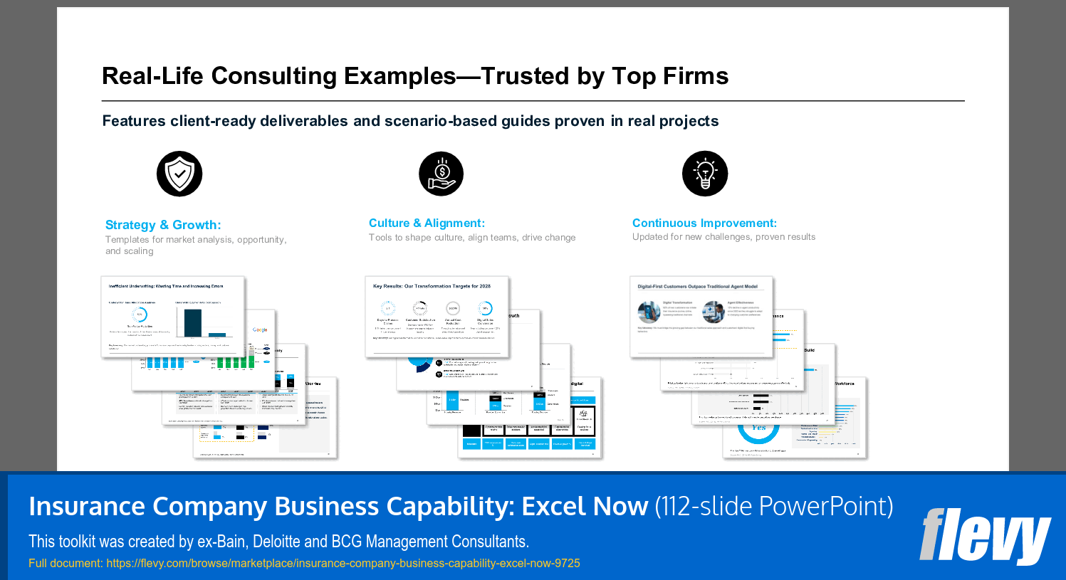 Insurance Company Business Capability: Excel Now (112-slide PPT PowerPoint presentation slide deck (PPTX)) Preview Image