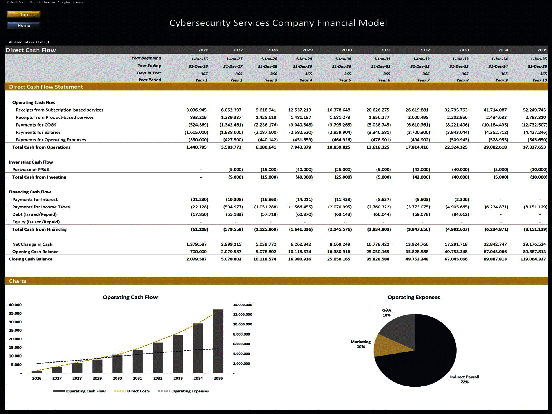 Cybersecurity Services Company – 10 Year Financial Model (Excel template (XLSX)) Preview Image