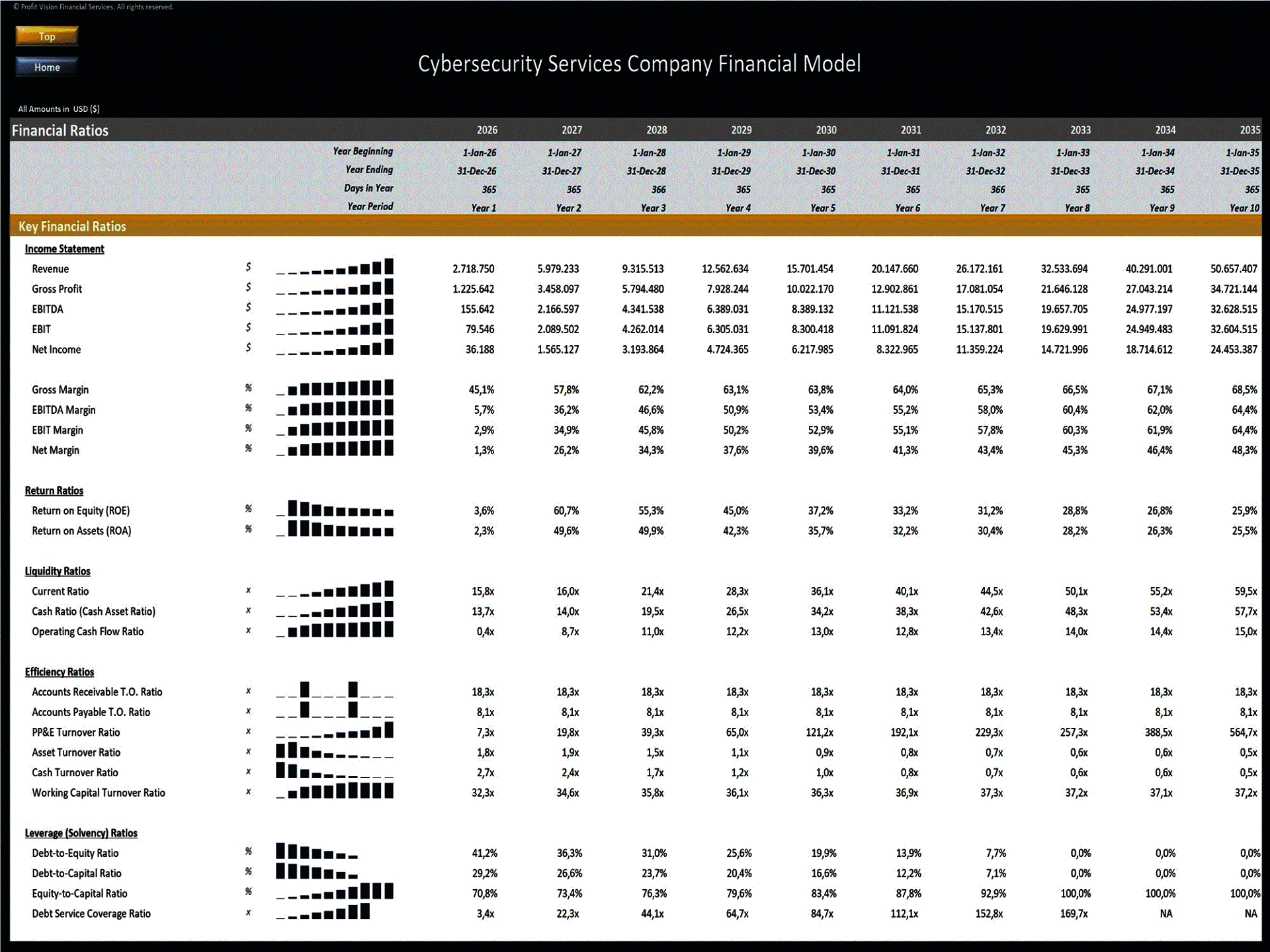 Cybersecurity Services Company – 10 Year Financial Model (Excel template (XLSX)) Preview Image