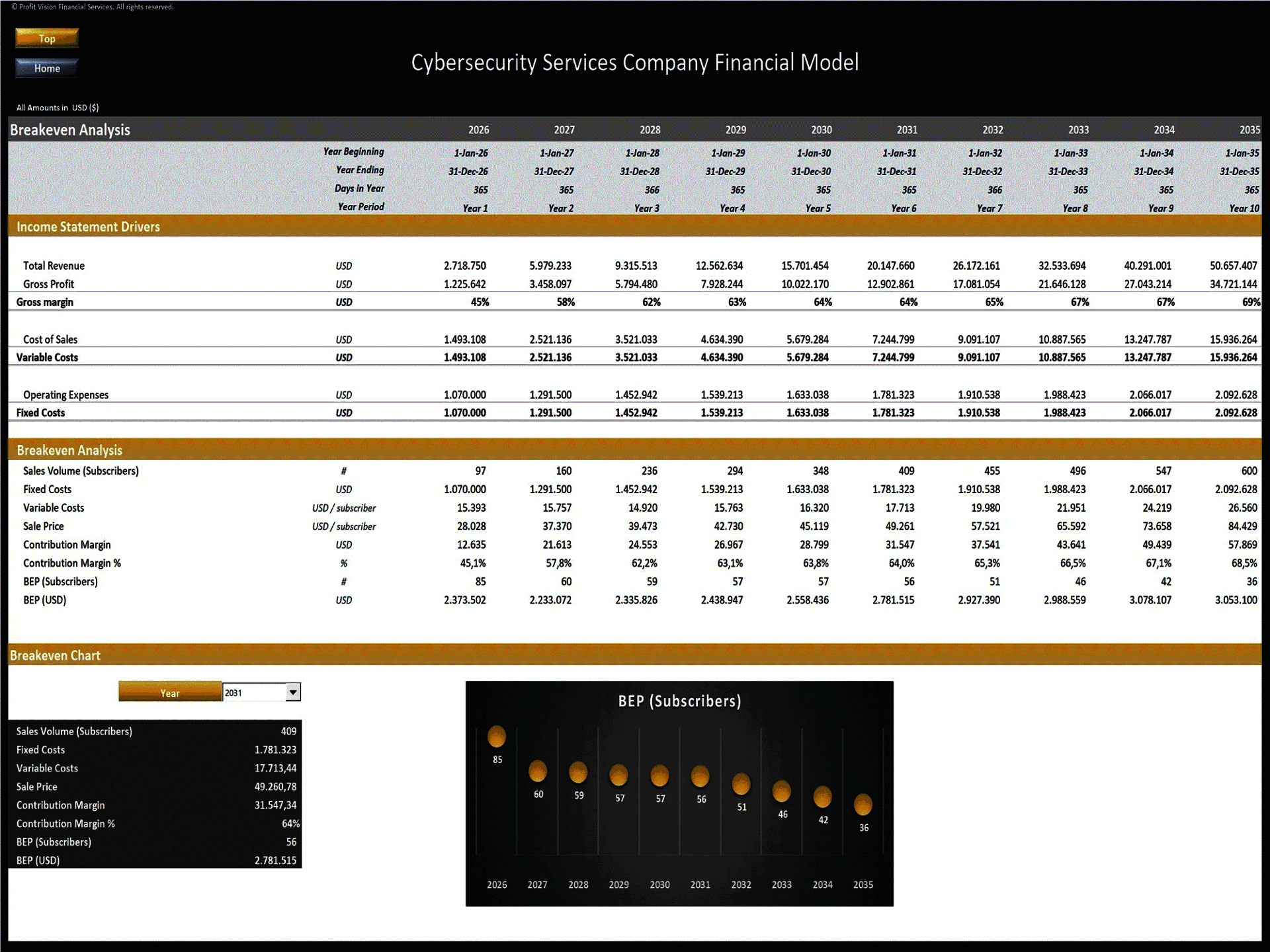 Cybersecurity Services Company – 10 Year Financial Model (Excel template (XLSX)) Preview Image