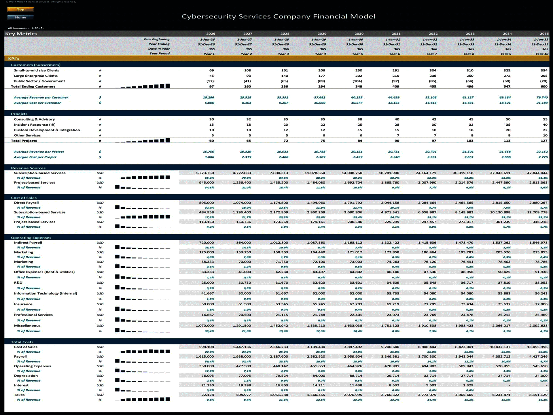 Cybersecurity Services Company – 10 Year Financial Model (Excel template (XLSX)) Preview Image