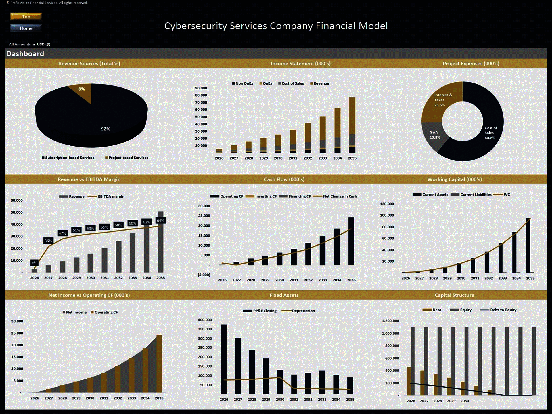 Cybersecurity Services Company – 10 Year Financial Model (Excel template (XLSX)) Preview Image