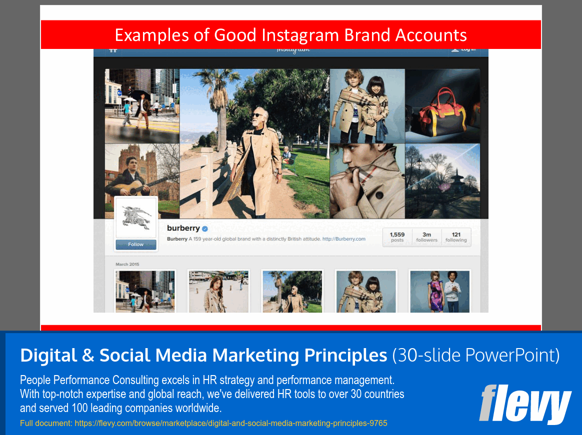 Digital & Social Media Marketing Principles (30-slide PPT PowerPoint presentation slide deck (PPTX)) Preview Image