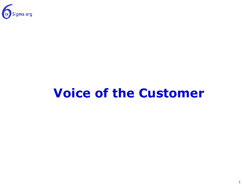 This is a partial preview of 016_Voice of Customer (42-slide PowerPoint presentation (PPT)). Full document is 42 slides. 