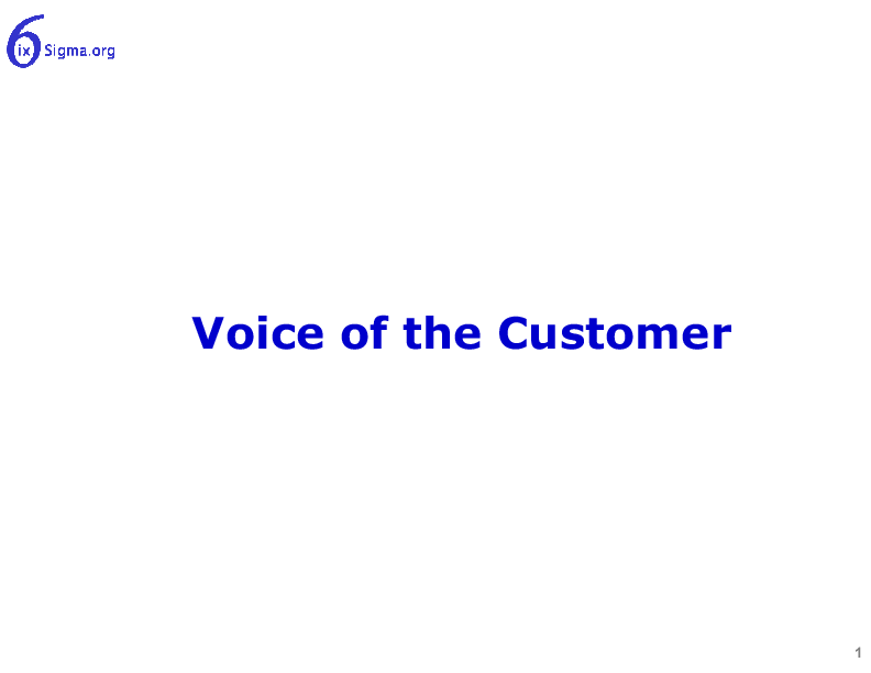 016_Voice of Customer (42-slide PPT PowerPoint presentation (PPT)) Preview Image