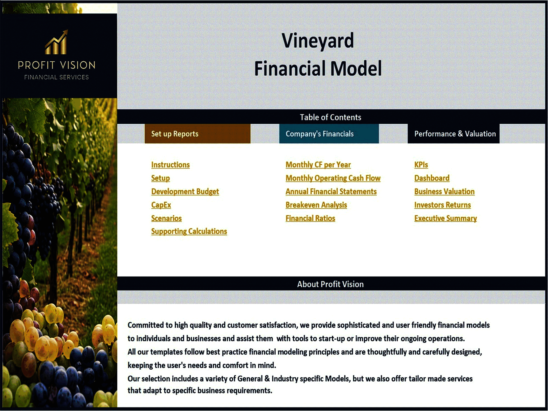 Vineyard Development – 10 Year Financial Model (Excel template (XLSX)) Preview Image