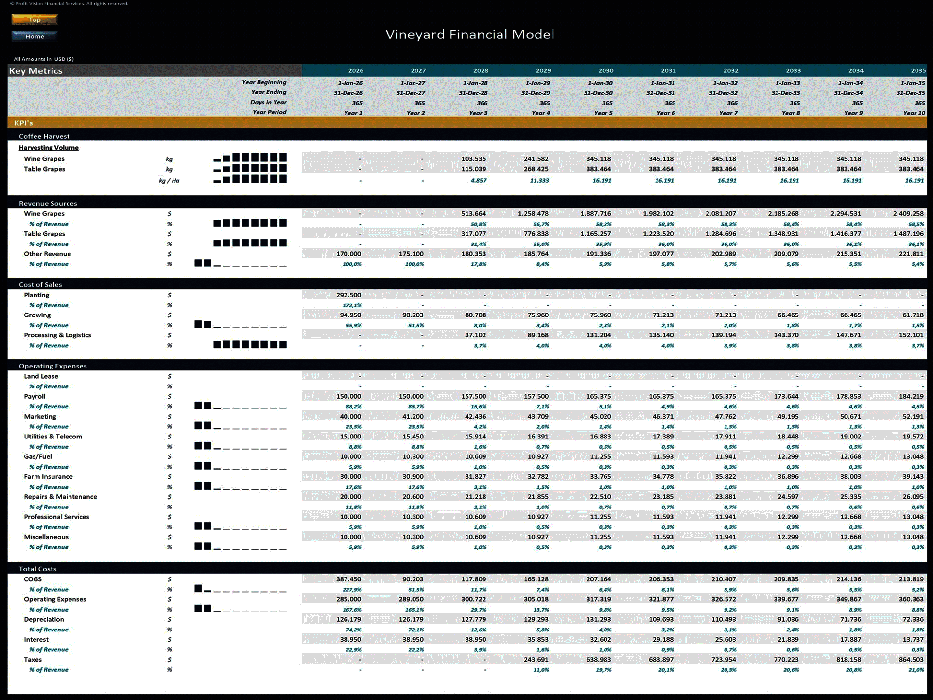 Vineyard Development – 10 Year Financial Model (Excel template (XLSX)) Preview Image