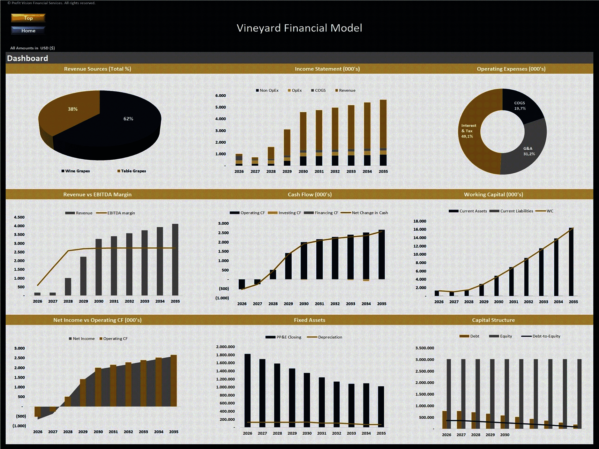 Vineyard Development – 10 Year Financial Model (Excel template (XLSX)) Preview Image