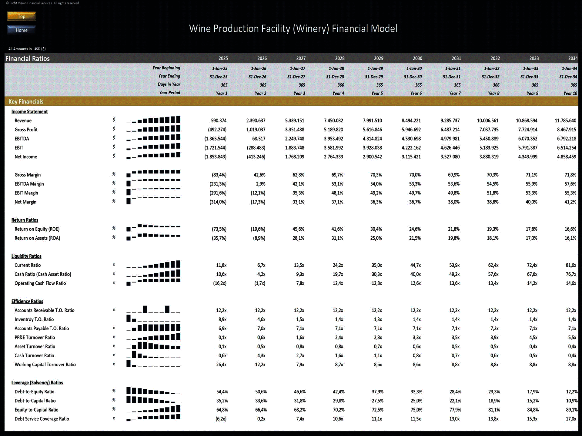 Wine Production Facility (Winery) – 10 Year Financial Model (Excel template (XLSX)) Preview Image