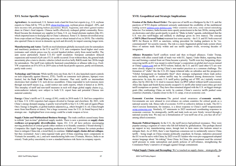 Tariff Policy Report: Strategic Trends & Trade Impacts, 2025 (0-page PDF document) Preview Image