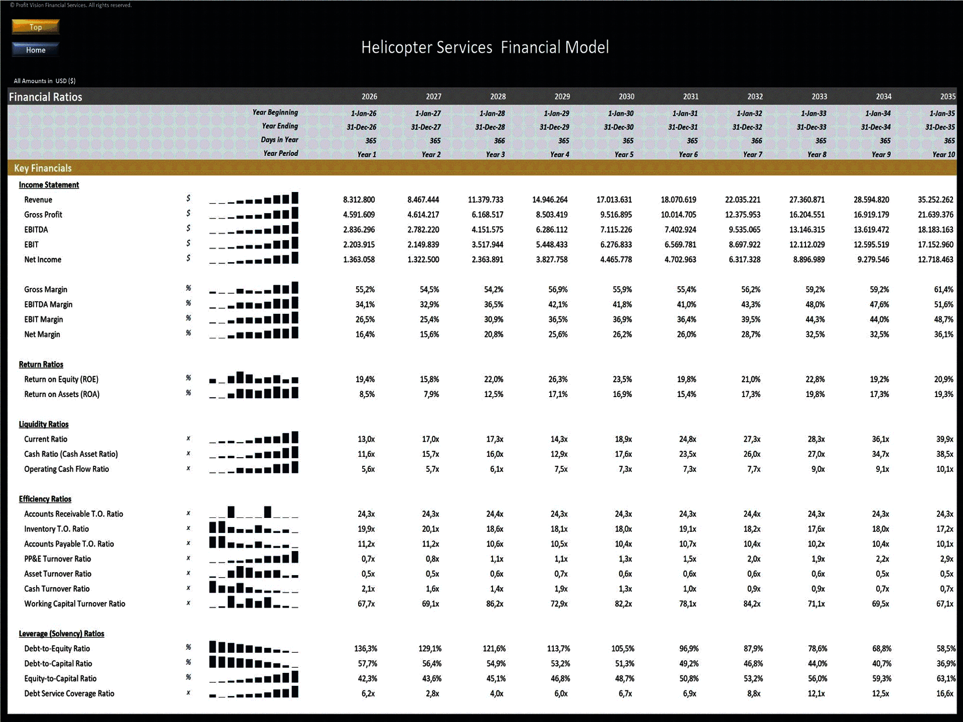 Helicopter Services Company – 10 Year Financial Model (Excel template (XLSX)) Preview Image