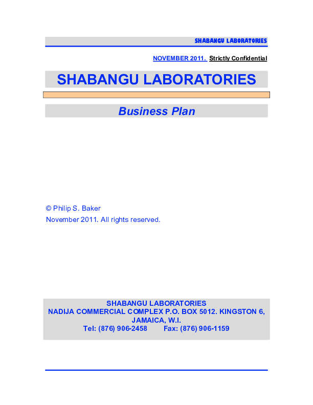 Business Planning (51-page PDF document) Preview Image