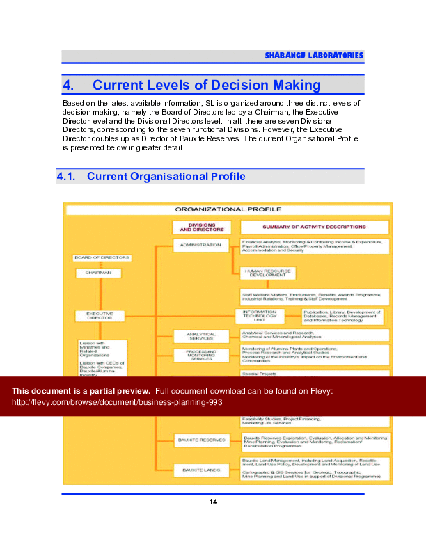 Business Planning (51-page PDF document) Preview Image