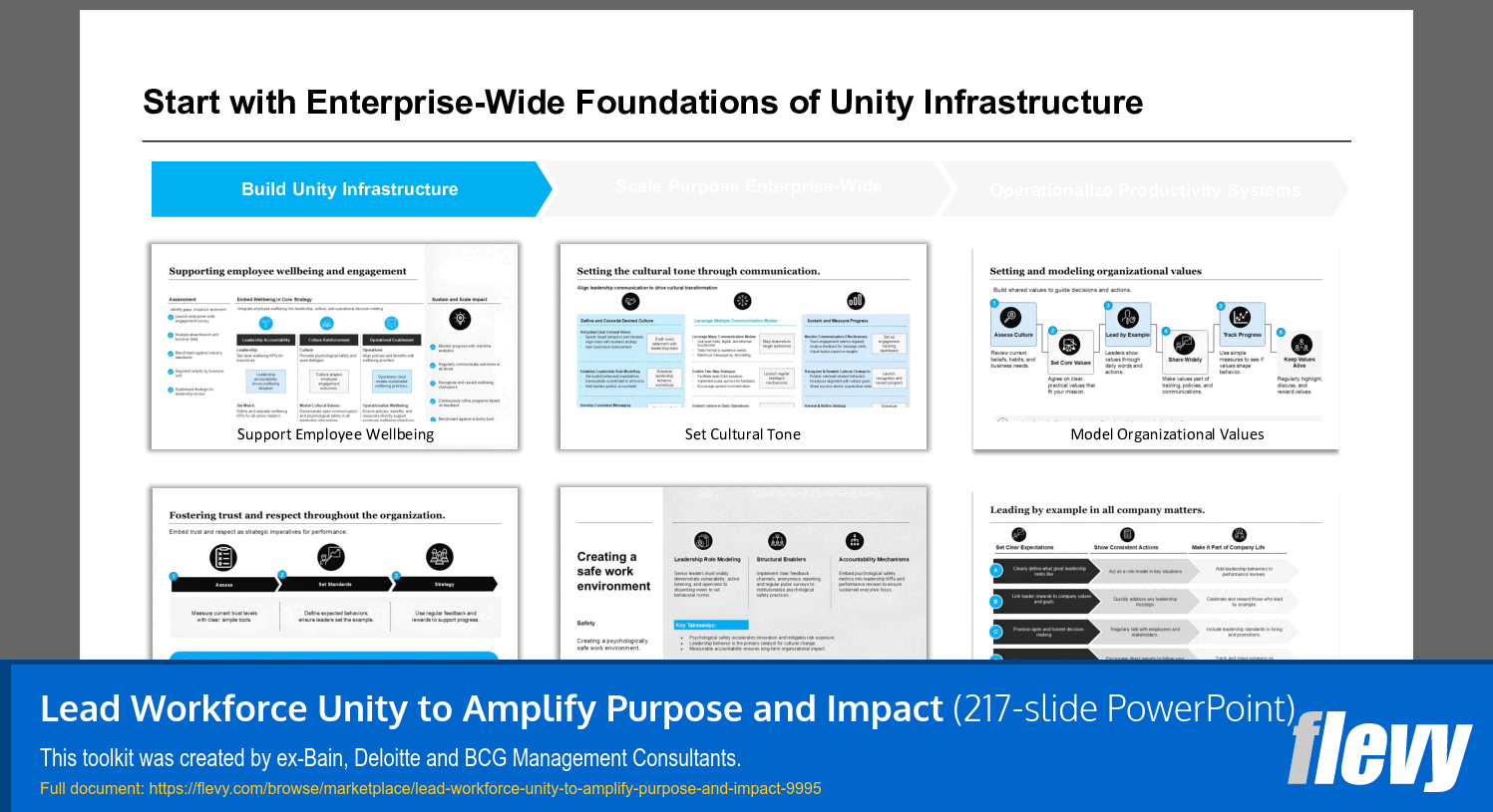 Lead Workforce Unity to Amplify Purpose and Impact (217-slide PPT PowerPoint presentation slide deck (PPTX)) Preview Image